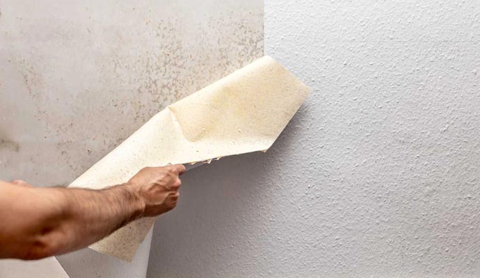 Benefits of Professional Wallpaper Removal