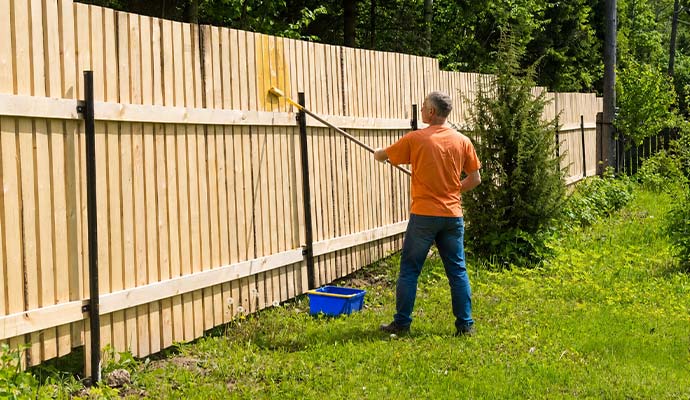 Professional painting service