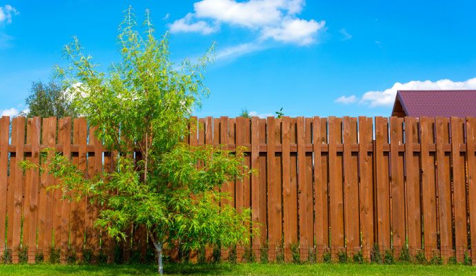 Newly painted fence in a residential property