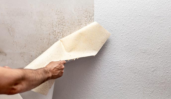 Wallpaper Removal Services